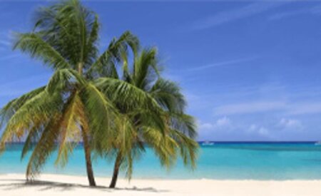 With ‘revenge travel’ waning, experts advise on how to boost business