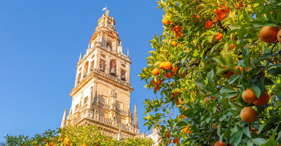 A World For Travel sustainability forum kicks off in Seville, Spain