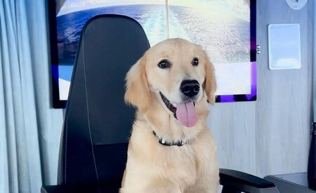 شركة رويال كاريبيان تقدم رئيس الكلاب على متن آيكون أوف ذا سيز